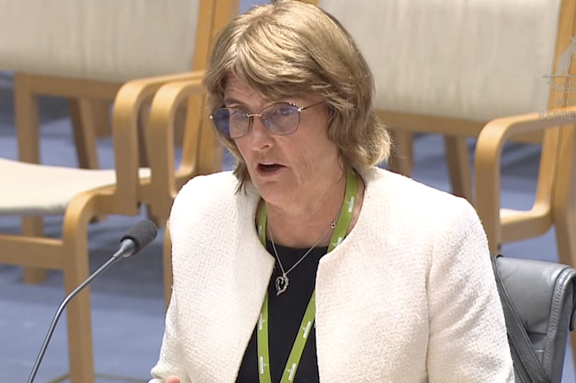 The Reserve Bank of Australia is playing with fire