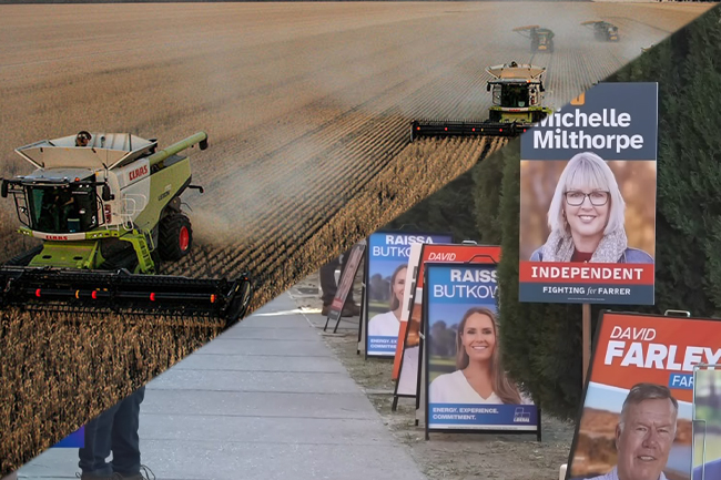 Farmers are anxious, but still in a pretty good paddock