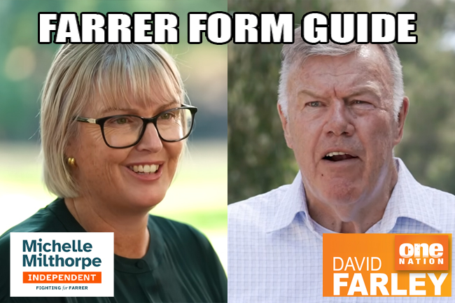 The Farrer Form Guide: Dreamers versus RWNJs