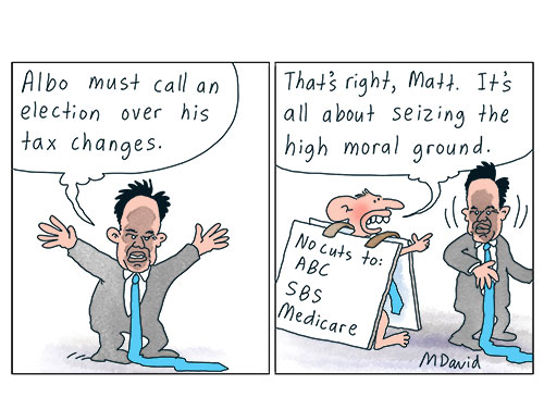 CARTOONS: Nats' Matt is singling out tax