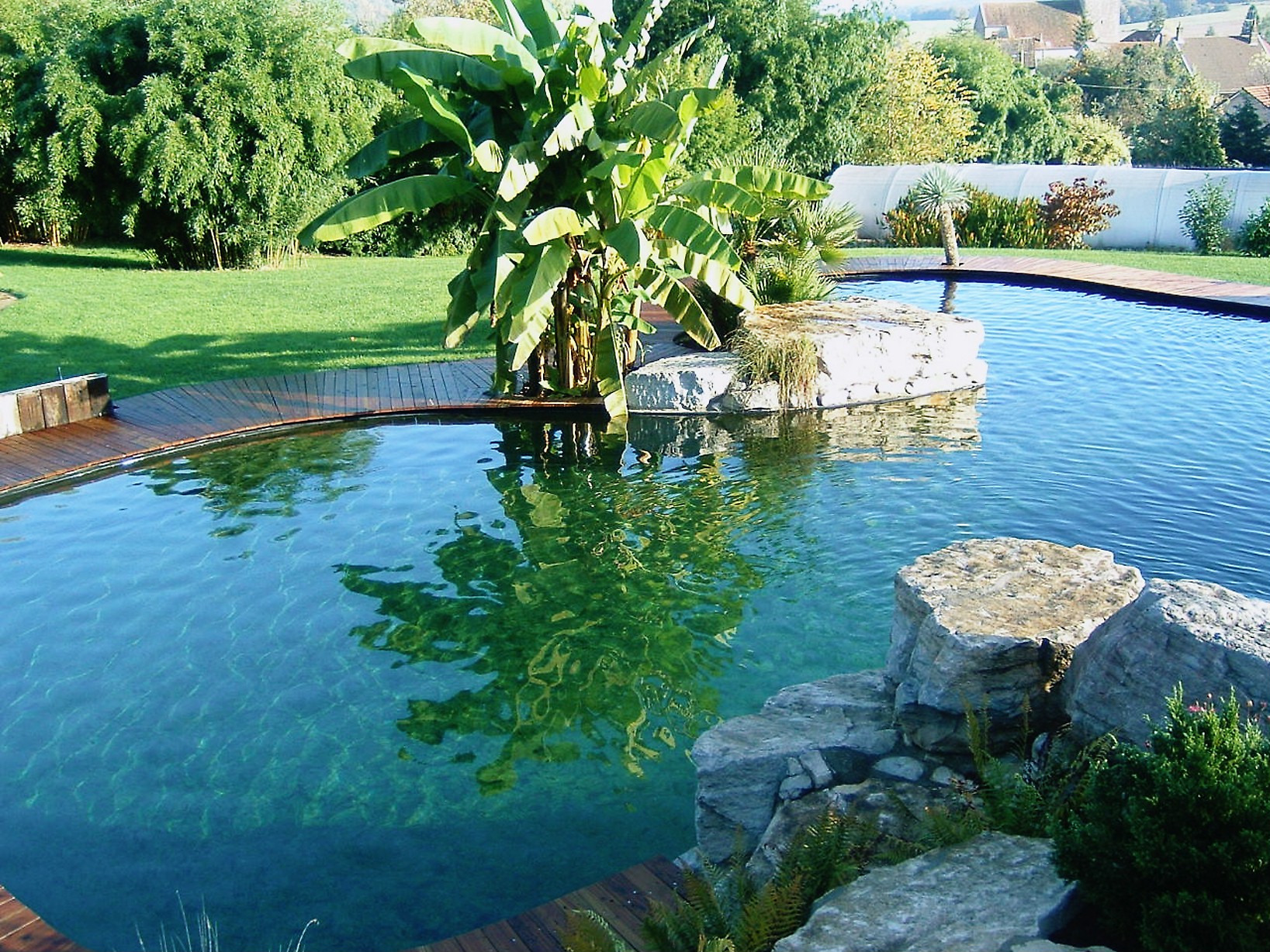 Popular backyard pool design trends for modern homes