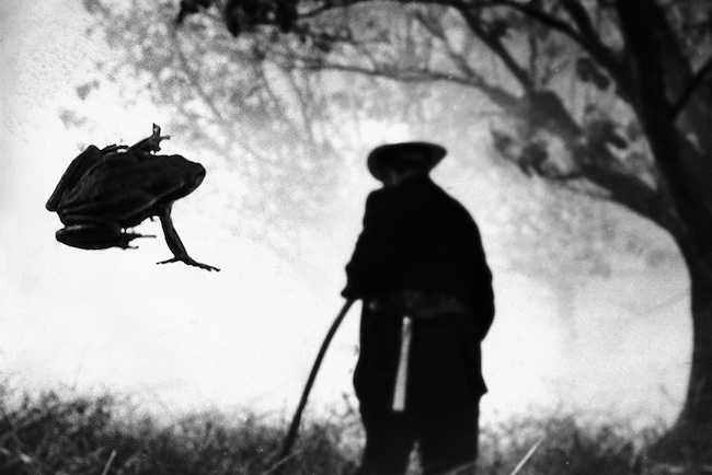 Bushfires frighten all creatures — great and small