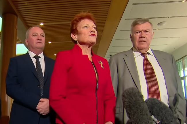 One Nation policies fall short of its promised future