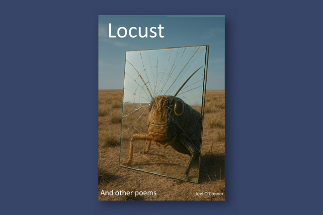 'Locust and Other Poems' finds beauty, warning and wonder in everyday life