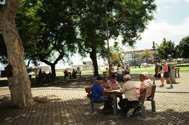 PHON fear mongers fail when communities function