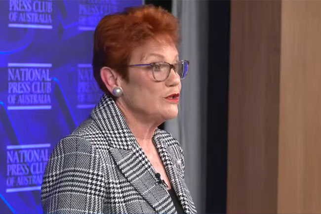 Hanson and the media: an unholy alliance of the ruling class