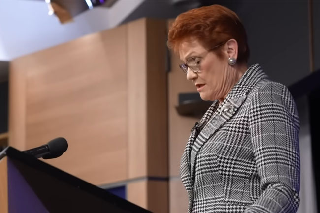 Pauline Hanson targets multiculturalism while ignoring the real crisis