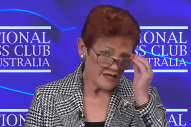 Pauline Hanson speaks English (A guide to speaking gooder English)