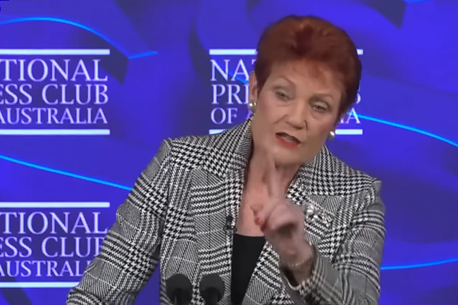Media's fear of Pauline Hanson is her greatest weapon