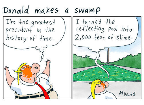 Donald Trump: A presidency of metaphors
