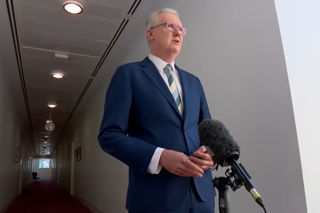 Tony Burke's immigration package must deliver the PM's net migration commitments and more