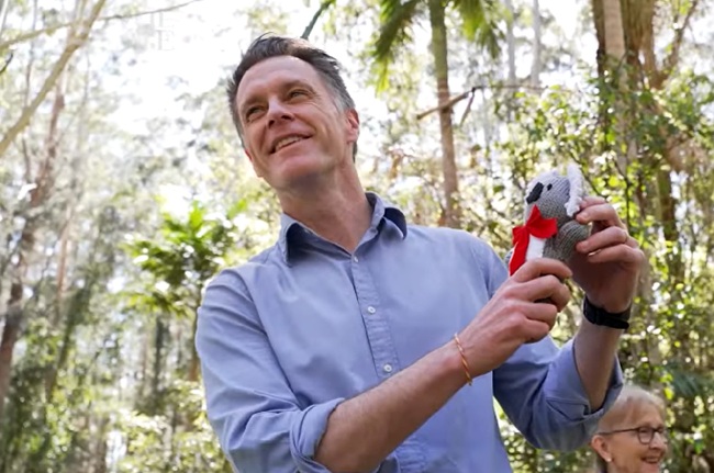 Carbon credit offset scheme holds koala park to ransom
