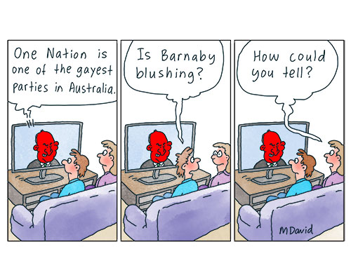 Barnaby Joyce discovers the political power of pinkwashing
