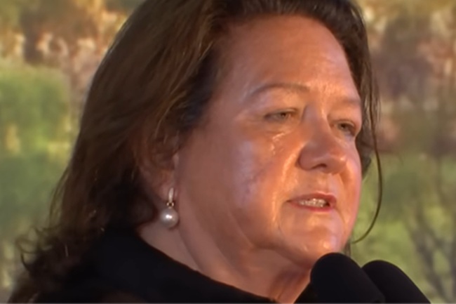 Gina Rinehart identifies the symptoms, misdiagnoses the disease