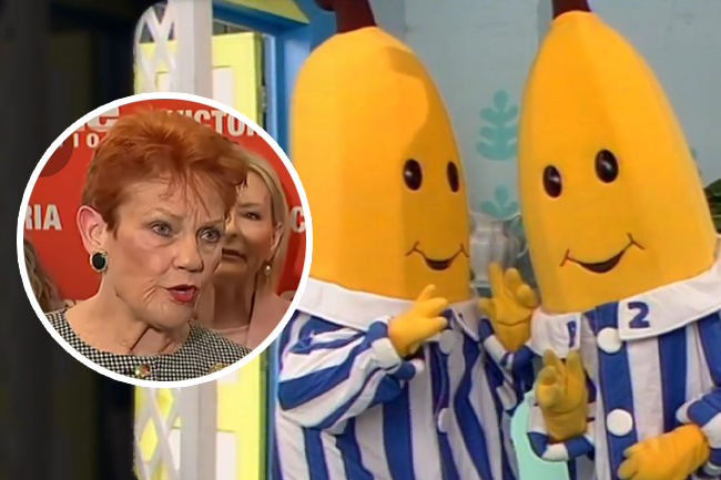 Pauline Hanson’s ABC paywall threatens our shared culture