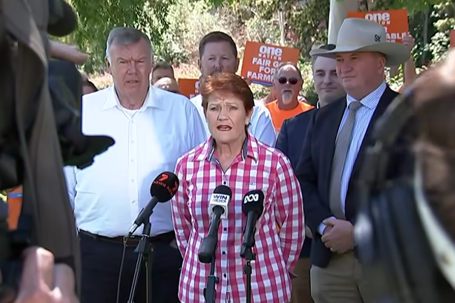 One Nation’s migration maths doesn’t add up