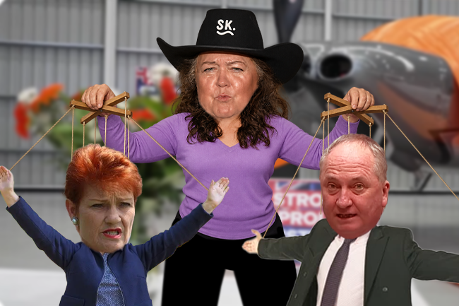 EDITORIAL: Want to know more about One Nation? Follow the money and 'sexy' planes
