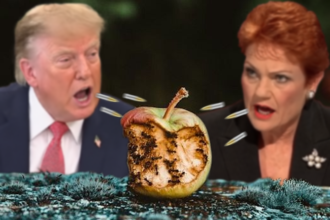 Helen Haines and the climate of hate: Bad apples or orange by-products?