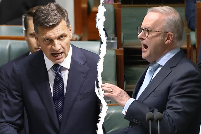 Parliament's political circus is alienating the next generation