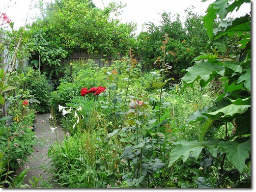 The humble gardener’s revolution