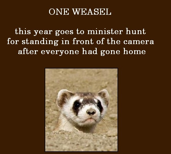 2013 Weasel Awards
