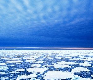 Arctic ice melt speeding up