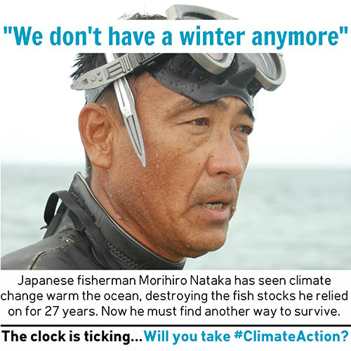 IPCC says future in doubt if we don't act now: Time for climate disobedience