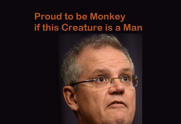 Scott Morrison and the Surrender Monkeys