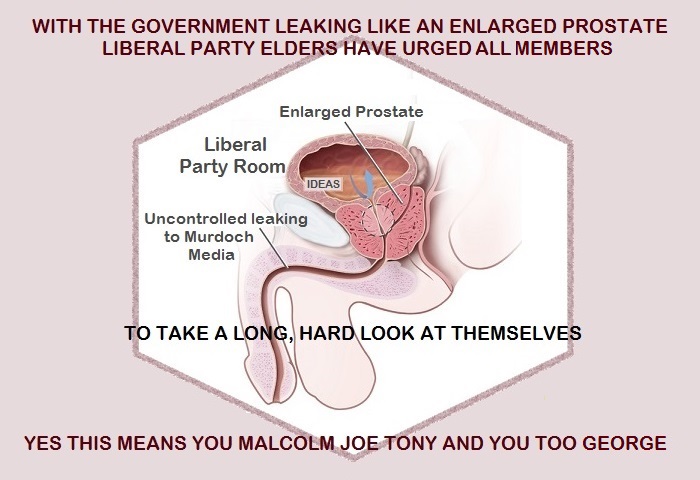 Government leaks