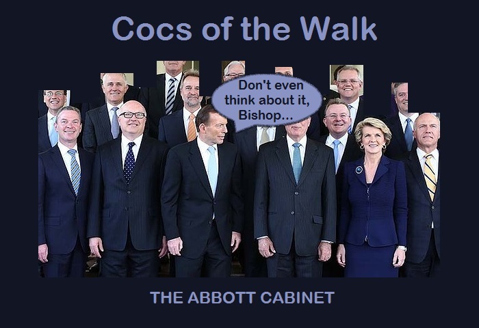 The rise of the Cocs