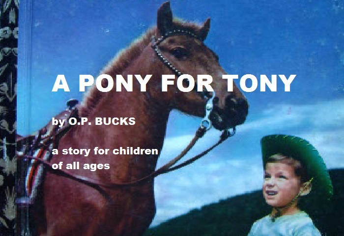 A pony for Tony