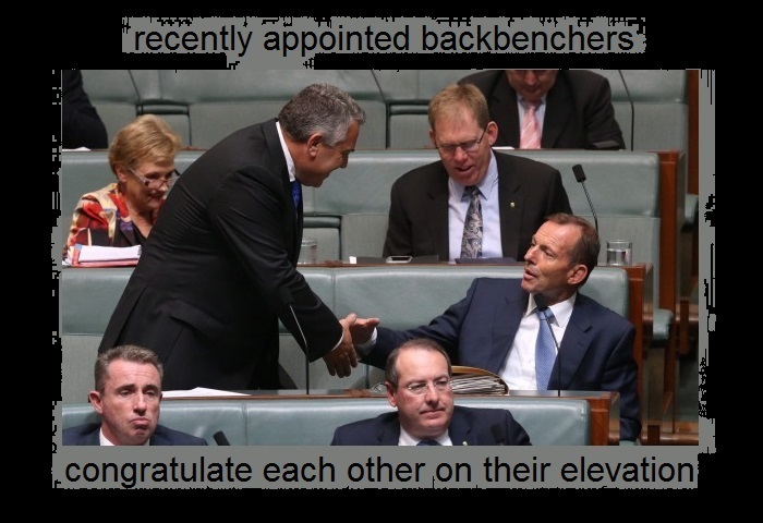 Backbench blues