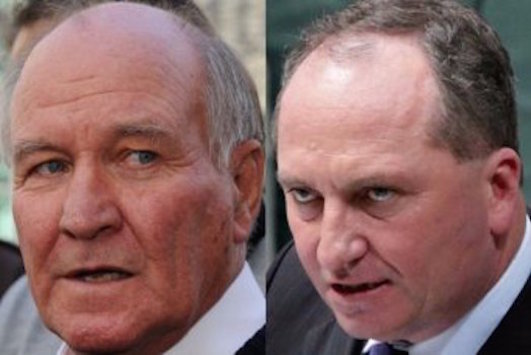 The resurrection of Tony Windsor