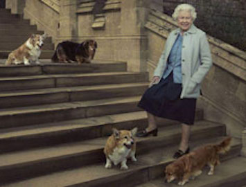 Bring on the Republic of Queensland